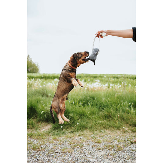 V5H8390ABE4B212883640675695653ECEBBR5574763P2