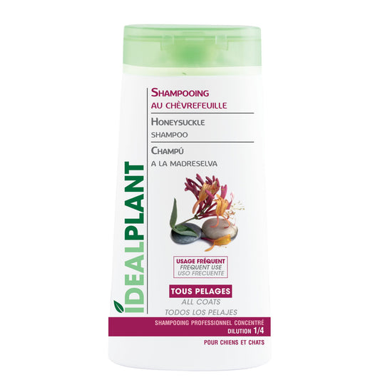 Shampoing doux au chèvrefeuille