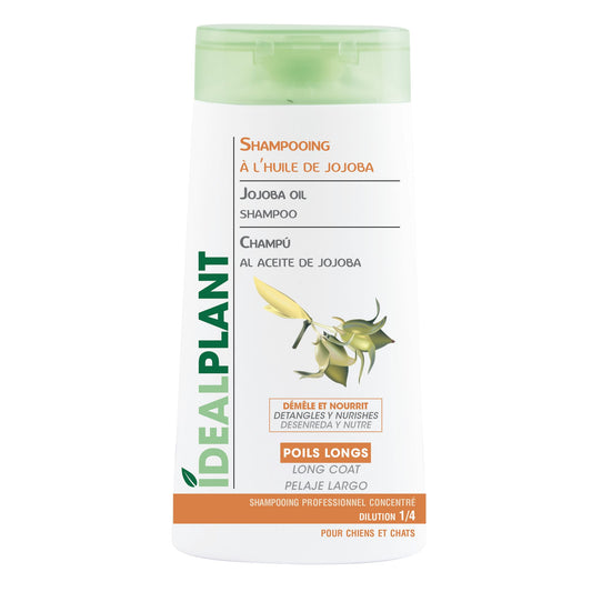 Shampoing à l'huile de jojoba