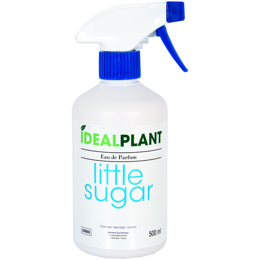 Parfum Little Sugar
