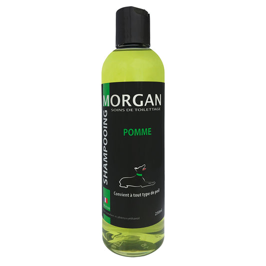 Shampoing Protéiné Pomme