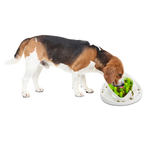 Interactive Dog Food Maze