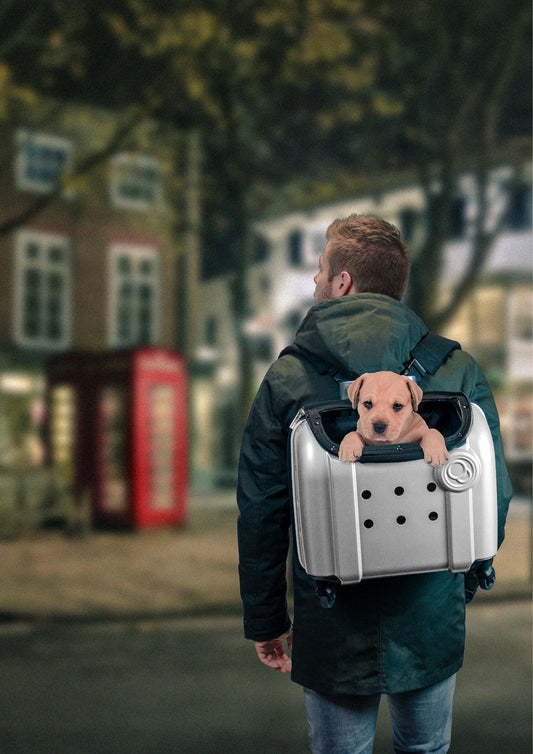 Valise de Transport à Roulettes Grise - 40x25x31 cm