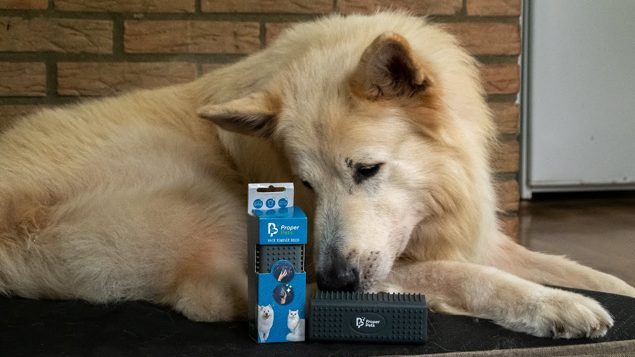 Brosse Enlève-Poils Magique