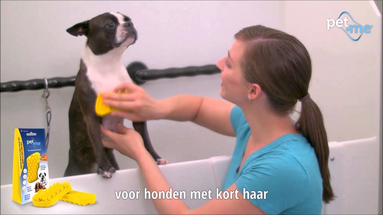 Brosse 4-en-1 Poils Courts