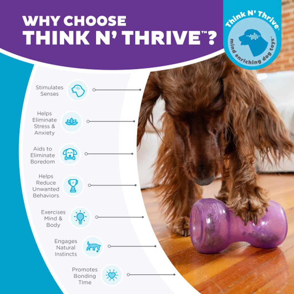 Jouet Interactif Double Snoop