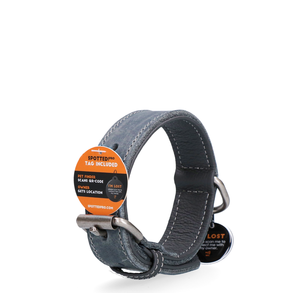 Gray Leather Collar with Connected Tag - 60 cm