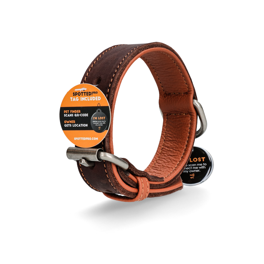 Brown Leather Collar with Connected Tag - 40 cm