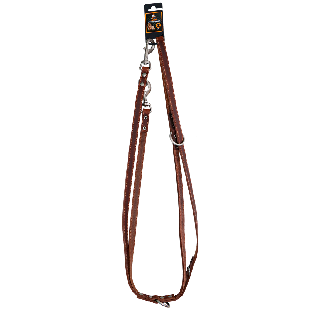 Trainingsleine aus Leder Braun - 250 cm