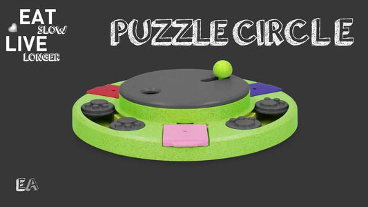 Circle Food Puzzle