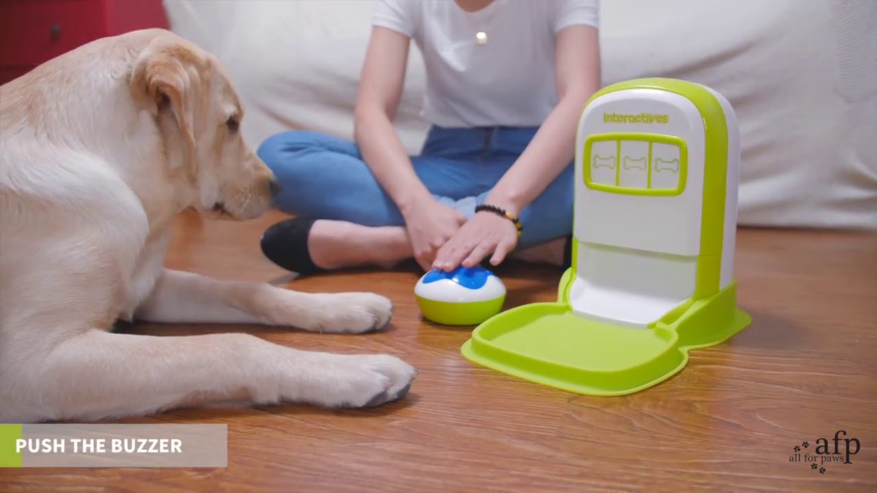 Remote-Controlled Interactive Treat Dispenser