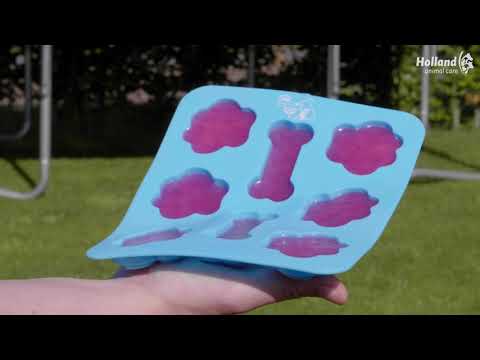 Moule à glaces pour chien