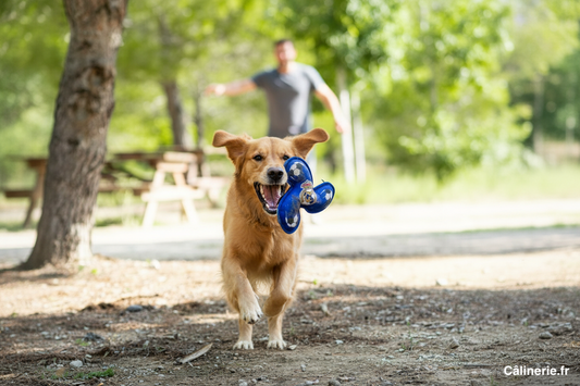 Frisbee Real Madrid TriskĂšle Bleu 23 cm