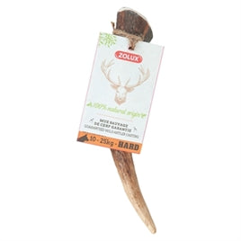 Bois de cerf M — 14-16 cm