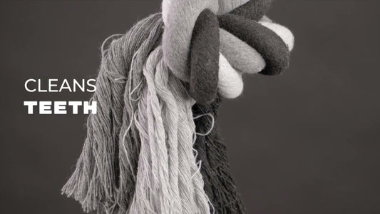 Corde Dentaire Mini - 30 cm