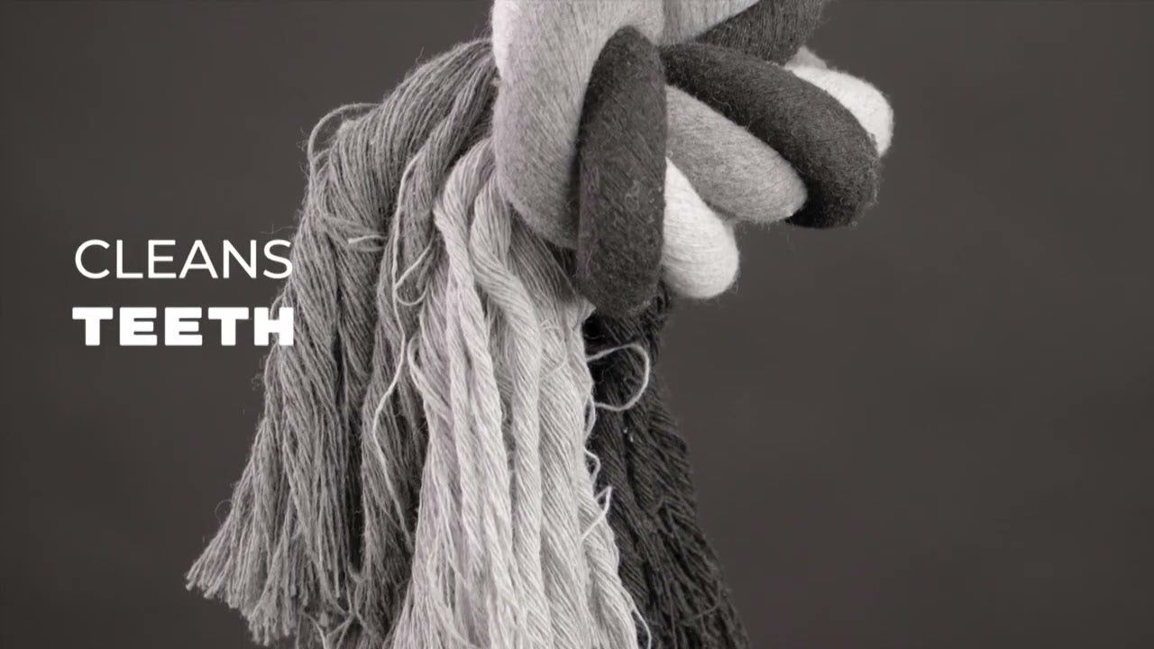 Corde Dentaire Multi-Noeuds - 85 cm