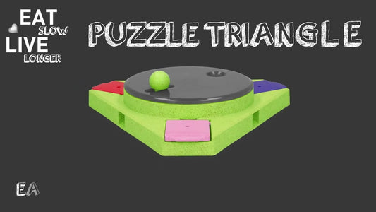 Triangle Food Puzzle