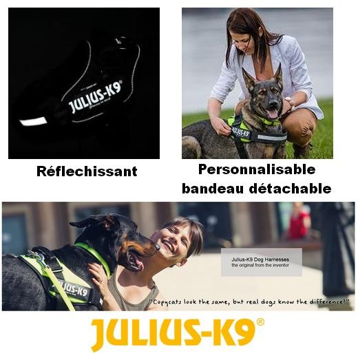 Harnais IDC Power Julius K9 France - T4