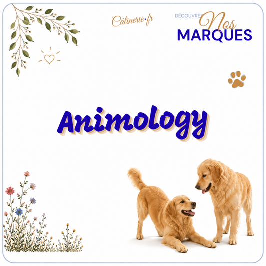 Animology
