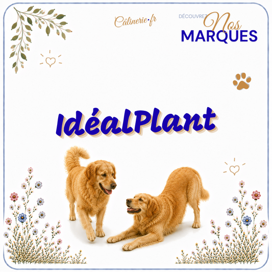 IdéalPlant