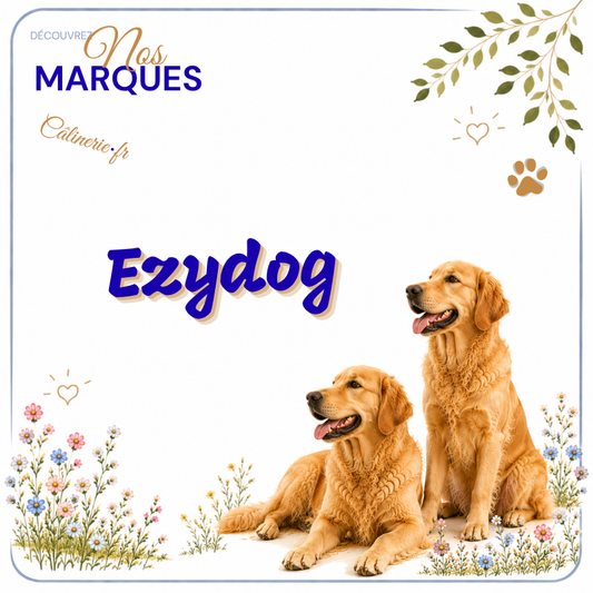 EzyDog