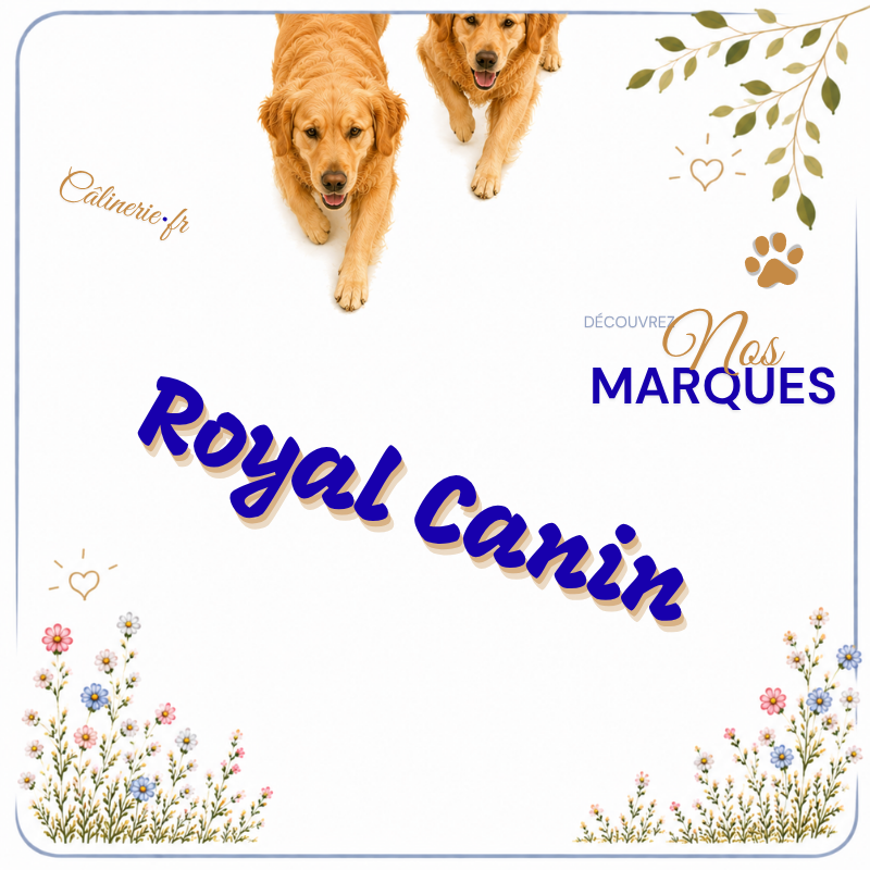 Royal Canin