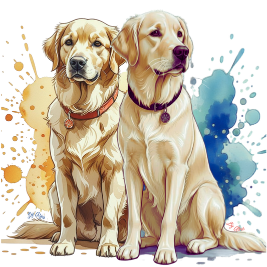 Arya and Albus Essentials