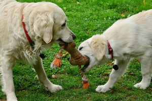 Les jouets