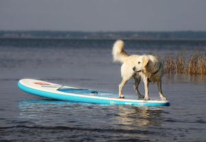 Sports aquatiques