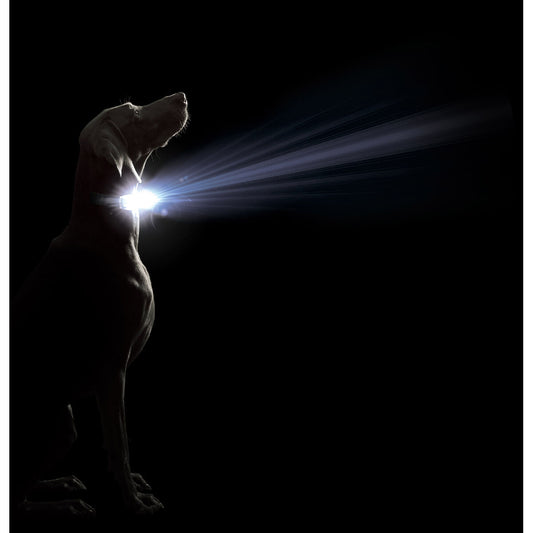 V5H7ECF6009EB371B8337E2C9A12E411D43R5554898P2