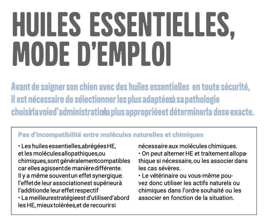 Soigner son chien avec les huiles essentielles