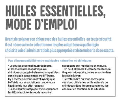 Soigner son chien avec les huiles essentielles