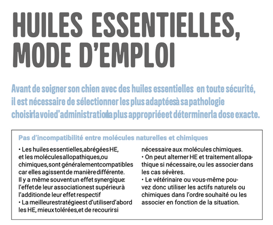 Soigner son chien avec les huiles essentielles