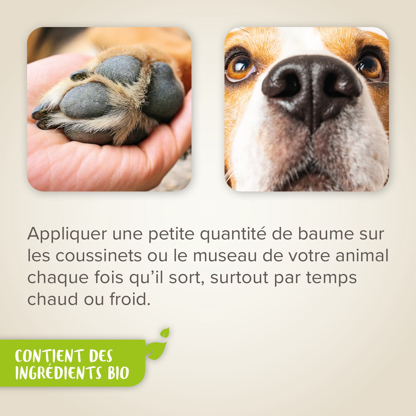 Baume Coussinets & Truffe Ecocert – 50 ml