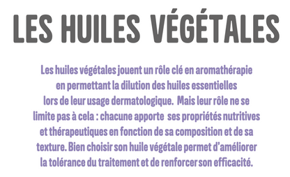 Soigner son chien avec les huiles essentielles