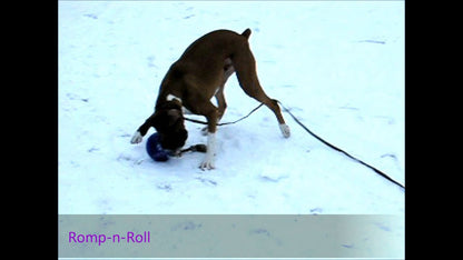 NV - Jolly Romp-n-Roll Blau M (15 cm)