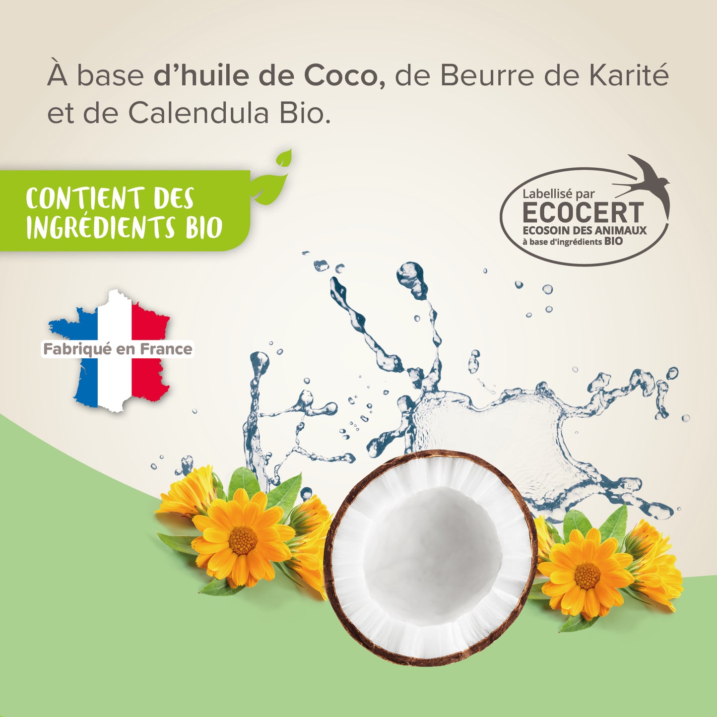 Baume Coussinets & Truffe Ecocert – 50 ml