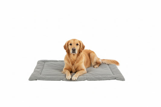 V6HDAC77321BE85766B0C8D6B6DA373832CR7458454P7