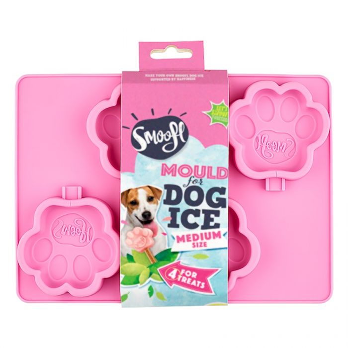Moule à glace — Taille M