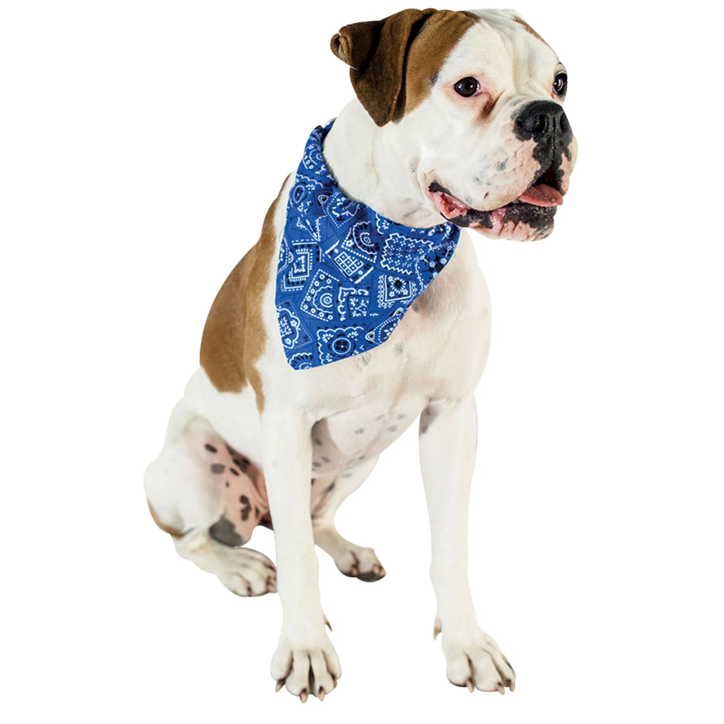 Bandana motifs cachemire