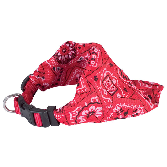 Bandana motifs cachemire