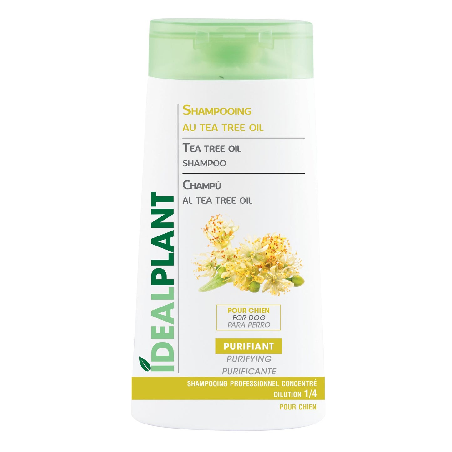 Shampoing au Tea Tree Oil
