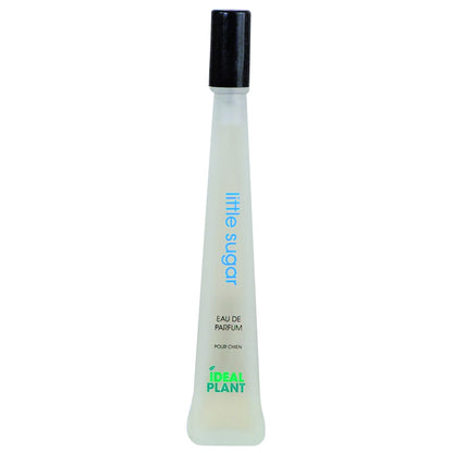 Parfum Little Sugar