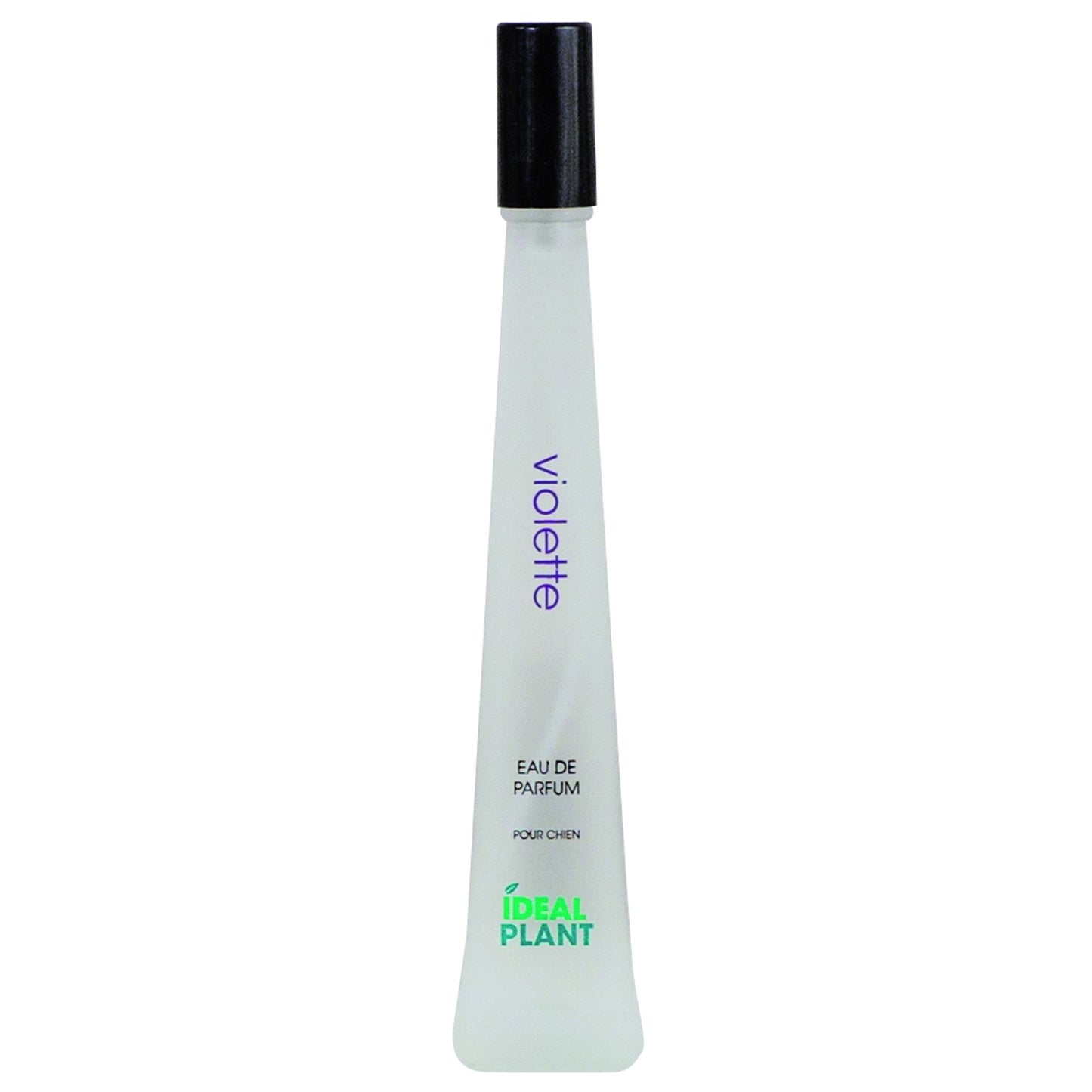 Parfum Violette