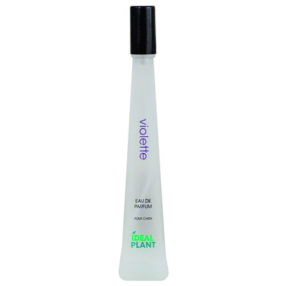 Parfum Violette