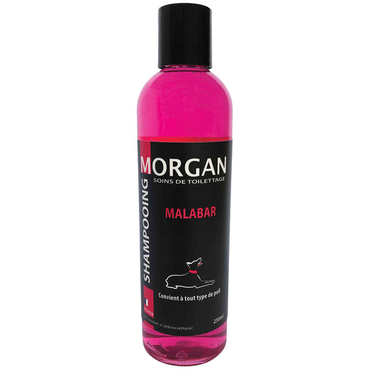 Shampoing Protéiné Malabar