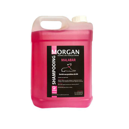 Shampoing Protéiné Malabar