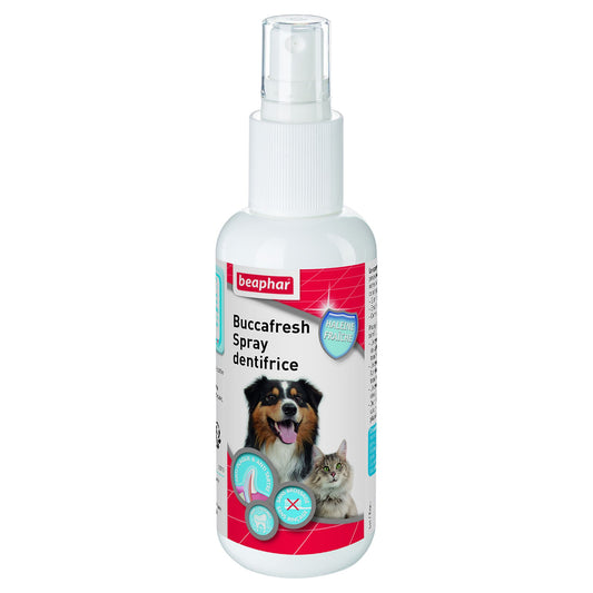 Spray Dentifrice Triple Action Buccafresh – 150 ml