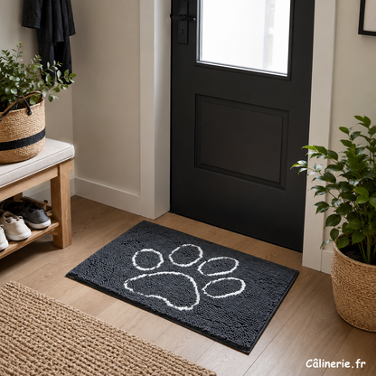 Tapis Microfibre Multifonctions
