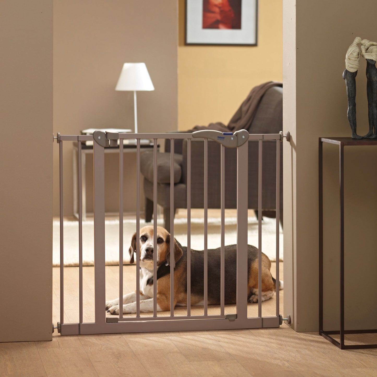 Barrière chien Dog Barrier